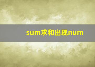 sum求和出现num