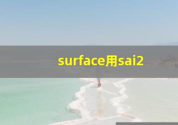 surface用sai2