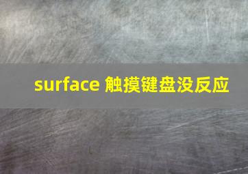 surface 触摸键盘没反应