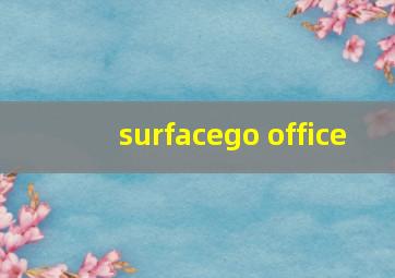 surfacego office