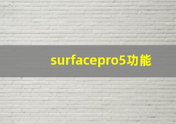 surfacepro5功能