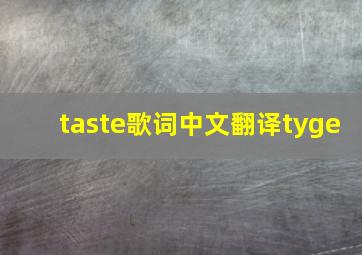 taste歌词中文翻译tyge