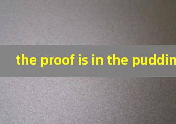 the proof is in the pudding翻译