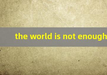 the world is not enough翻译