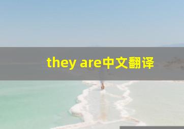 they are中文翻译