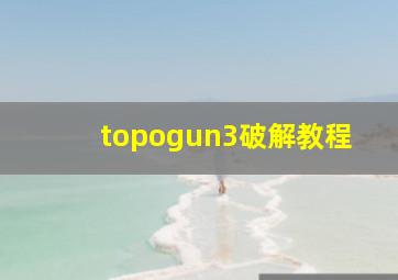 topogun3破解教程