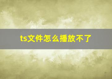 ts文件怎么播放不了