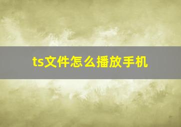 ts文件怎么播放手机