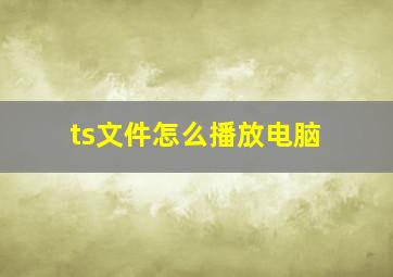 ts文件怎么播放电脑