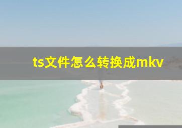 ts文件怎么转换成mkv