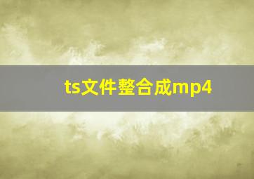 ts文件整合成mp4