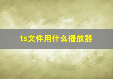 ts文件用什么播放器