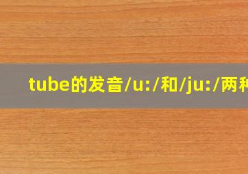 tube的发音/u:/和/ju:/两种