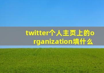 twitter个人主页上的organization填什么