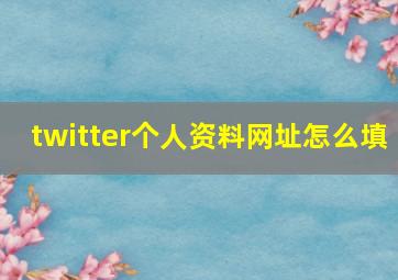 twitter个人资料网址怎么填