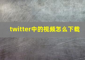 twitter中的视频怎么下载