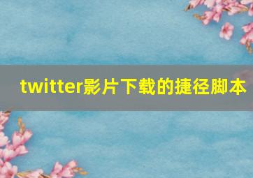 twitter影片下载的捷径脚本