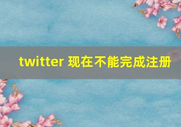 twitter 现在不能完成注册