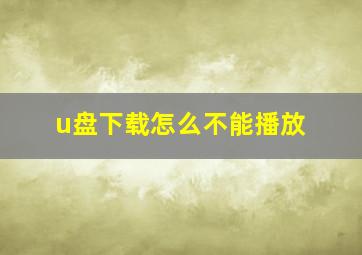 u盘下载怎么不能播放