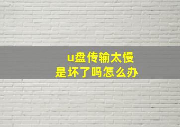 u盘传输太慢是坏了吗怎么办