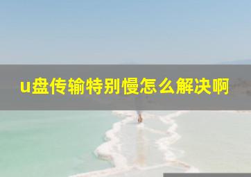 u盘传输特别慢怎么解决啊