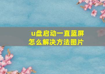 u盘启动一直蓝屏怎么解决方法图片