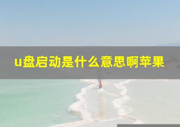 u盘启动是什么意思啊苹果