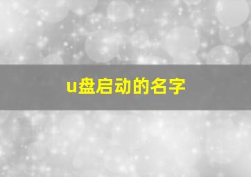 u盘启动的名字