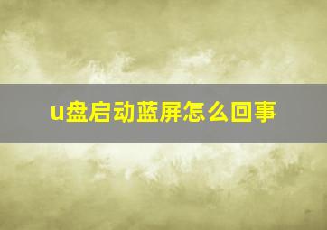 u盘启动蓝屏怎么回事