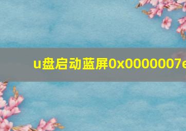 u盘启动蓝屏0x0000007e