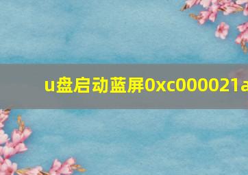 u盘启动蓝屏0xc000021a