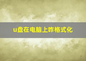 u盘在电脑上咋格式化