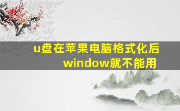 u盘在苹果电脑格式化后 window就不能用