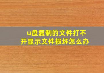 u盘复制的文件打不开显示文件损坏怎么办