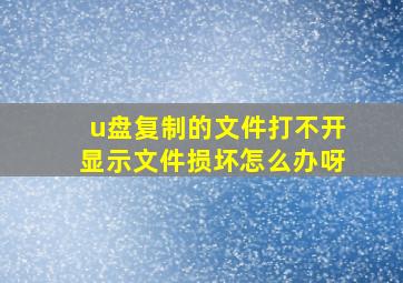 u盘复制的文件打不开显示文件损坏怎么办呀