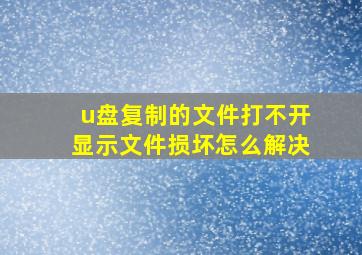 u盘复制的文件打不开显示文件损坏怎么解决