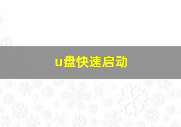 u盘快速启动