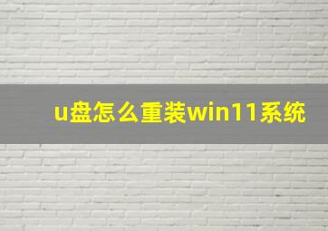 u盘怎么重装win11系统