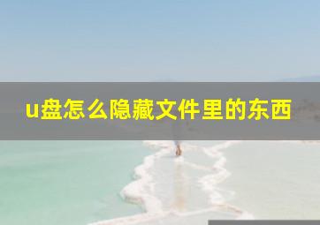 u盘怎么隐藏文件里的东西