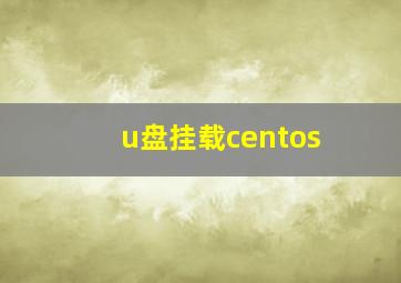 u盘挂载centos