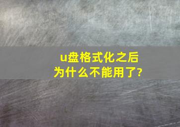 u盘格式化之后为什么不能用了?