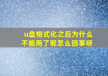 u盘格式化之后为什么不能用了呢怎么回事呀