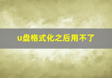 u盘格式化之后用不了