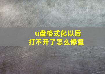 u盘格式化以后打不开了怎么修复