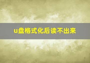 u盘格式化后读不出来