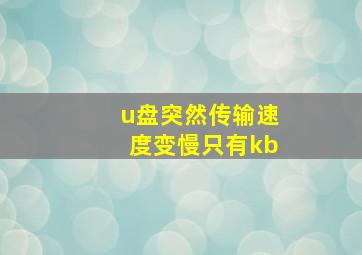 u盘突然传输速度变慢只有kb