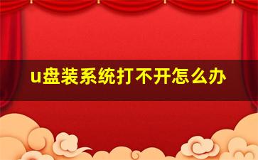 u盘装系统打不开怎么办