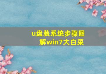 u盘装系统步骤图解win7大白菜