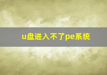 u盘进入不了pe系统