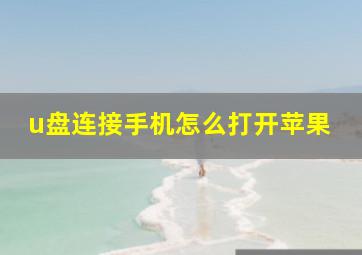 u盘连接手机怎么打开苹果